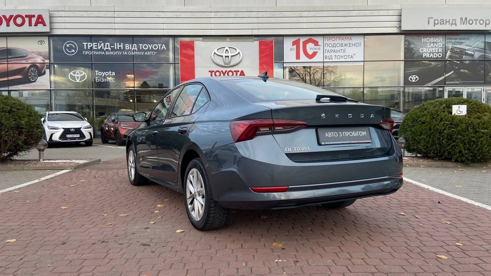 Інші авто SKODA OCTAVIA 2021 року, Ліфтбек, Тойота Центр Хмельницький "Гранд Мотор", м.Хмельницький | Фото № 2 Інші авто SKODA OCTAVIA 2021 року з пробігом 117458 км, Ліфтбек, Тойота Центр Хмельницький "Гранд Мотор", м.Хмельницький - 829000 ГРН | Фото № 2