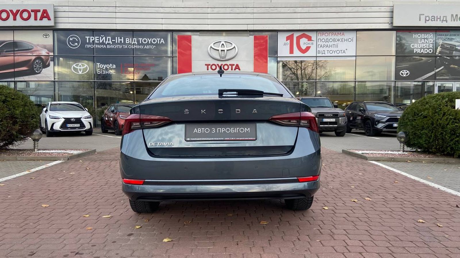 Інші авто SKODA OCTAVIA 2021 року, Ліфтбек, Тойота Центр Хмельницький "Гранд Мотор", м.Хмельницький | Фото № 4 Інші авто SKODA OCTAVIA 2021 року з пробігом 117458 км, Ліфтбек, Тойота Центр Хмельницький "Гранд Мотор", м.Хмельницький - 829000 ГРН | Фото № 4