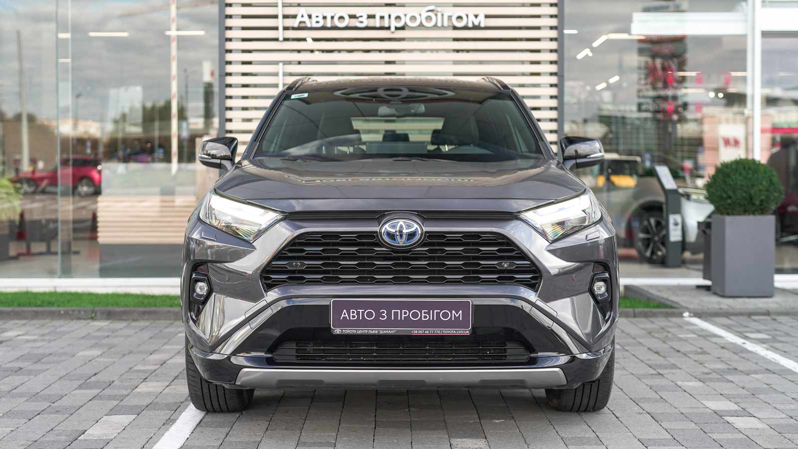 Toyota RAV4 2025 року з пробігом 33306 км, Універсал, Тойота Центр Львів "Діамант", м.Львів - 1894200 ГРН | Фото № 5